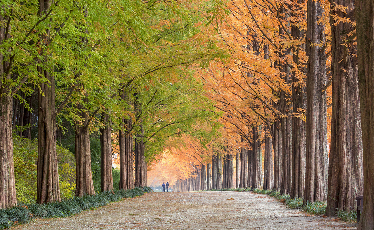숲세권 힐링라이프